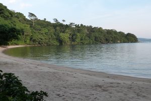 Rubondo Islands National Park