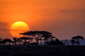 Serengeti Sunset