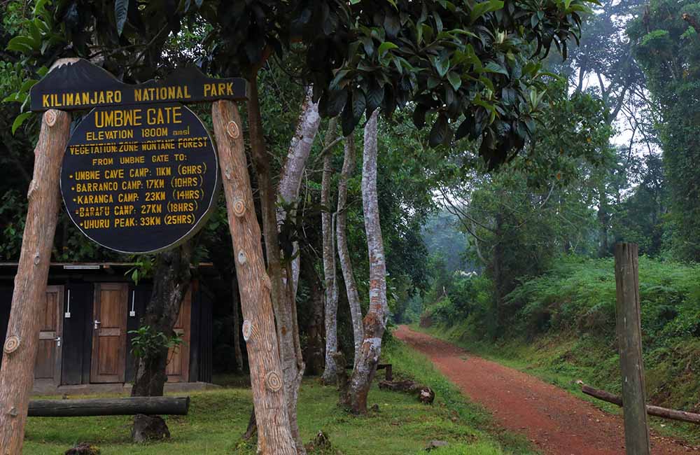 umbwe-gate-kilimanjaro Rove Adventures Africa